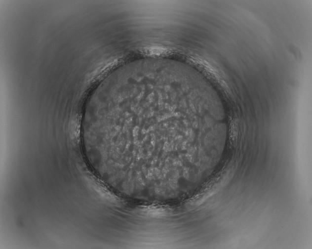 X0000111910545200908031140