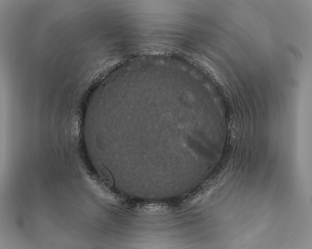 X0000111910546200908031140