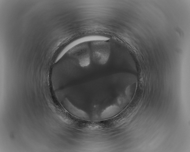 X0000111910547200908031140