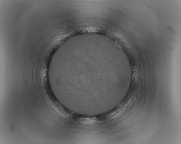 X0000111910548200908031140