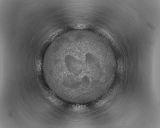 X0000111910549200908031140