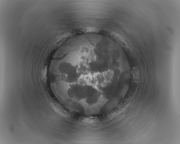 X0000111910550200908031140