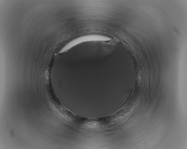 X0000111910551200908031140