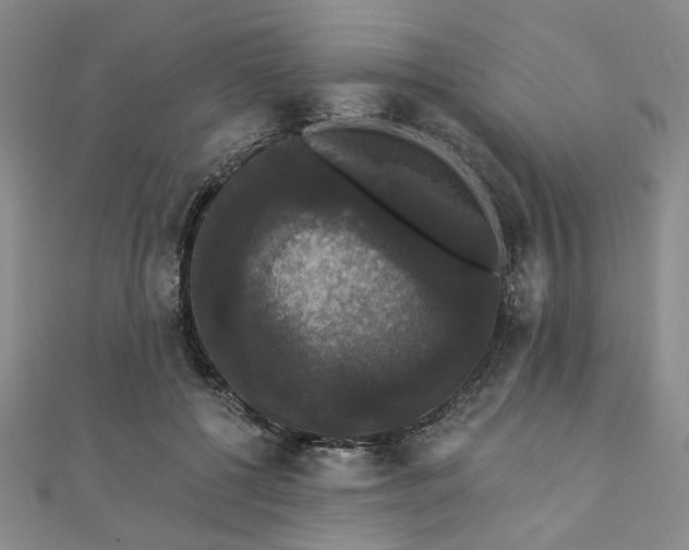 X0000111910552200908031140