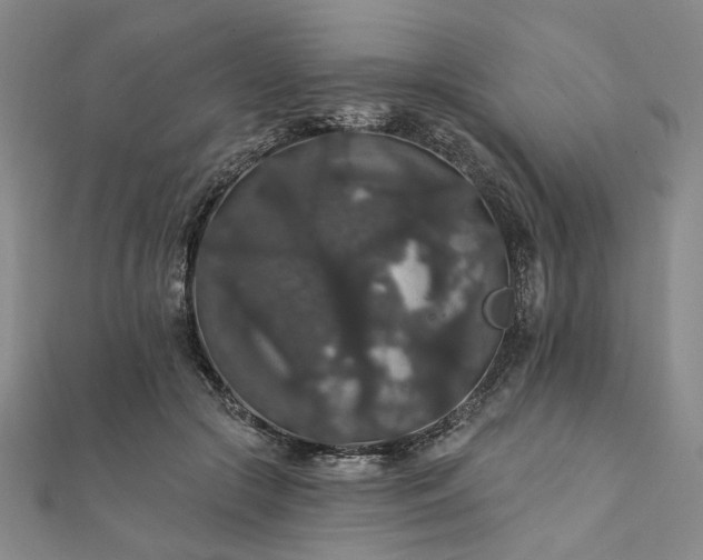 X0000111910553200908031140