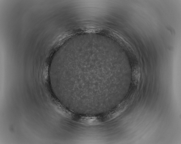 X0000111910554200908031140