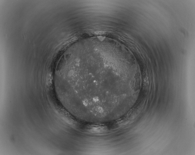 X0000111910555200908031140