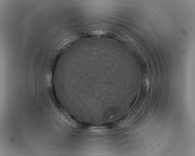 X0000111910556200908031140