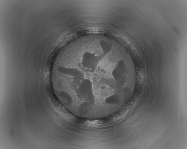 X0000111910557200908031140
