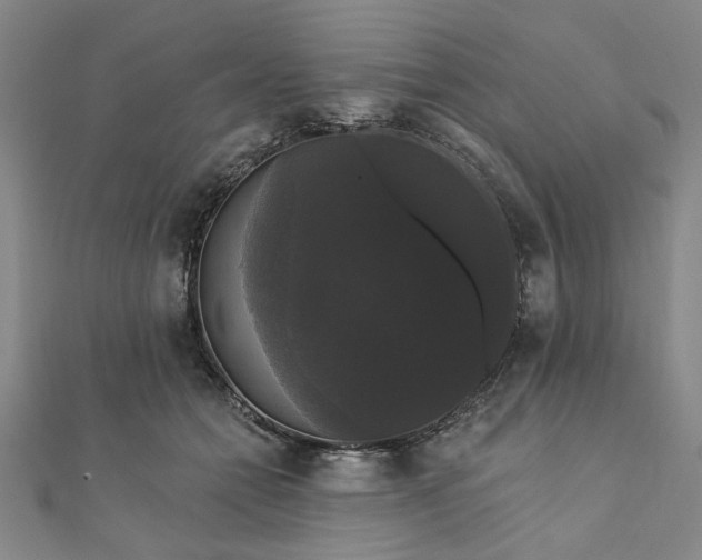 X0000111910558200908031140