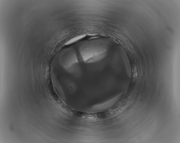 X0000111910559200908031140