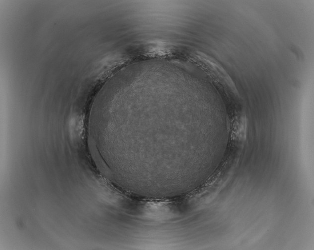 X0000111910560200908031140