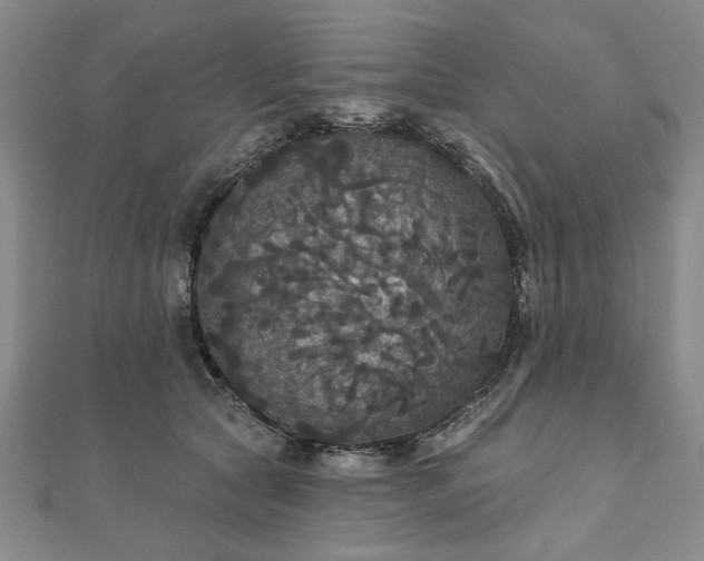 X0000111910561200908031140