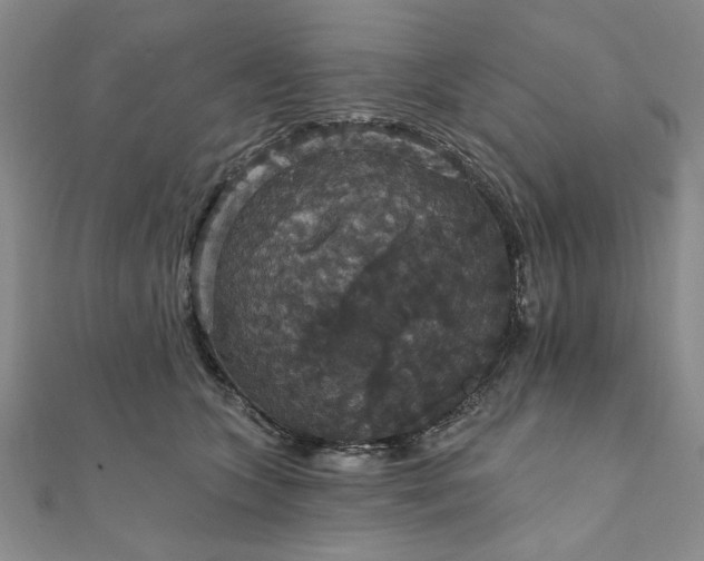 X0000111910563200908031140
