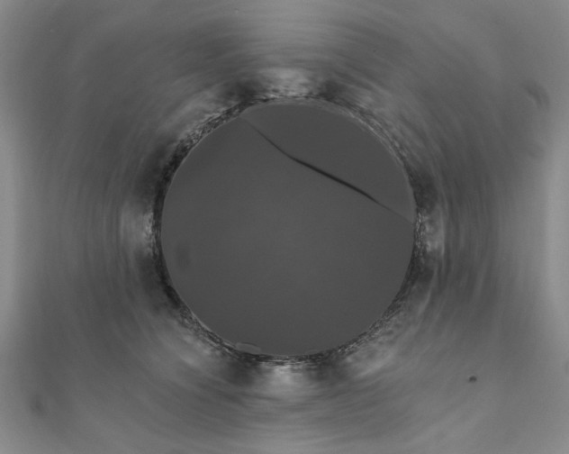X0000111910564200908031140