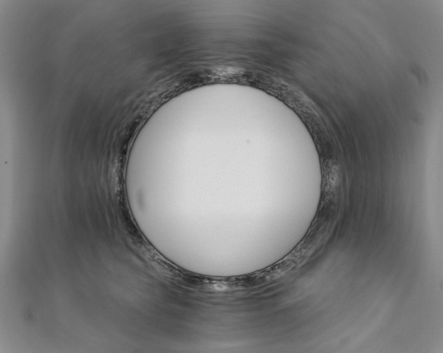 X0000111910565200908031140