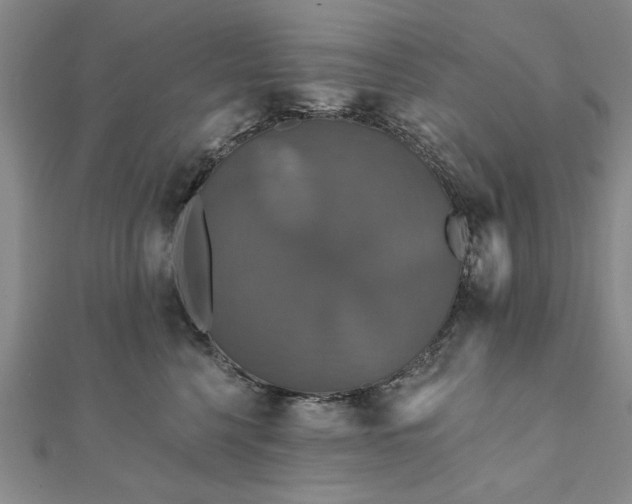 X0000111910568200908031140
