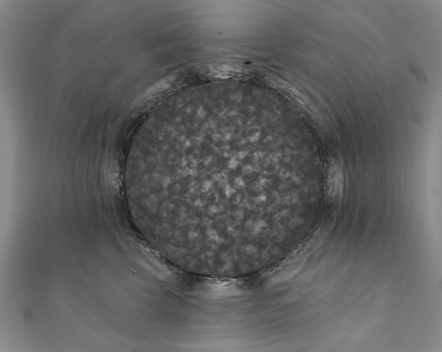 X0000111910569200908031140