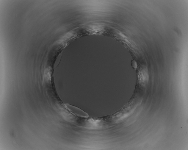 X0000111910570200908031140