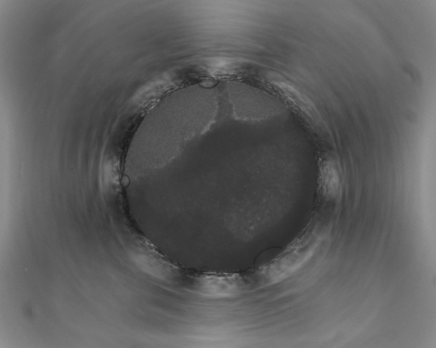 X0000111910571200908031140