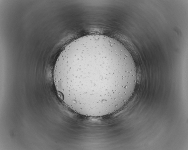 X0000111910573200908031140