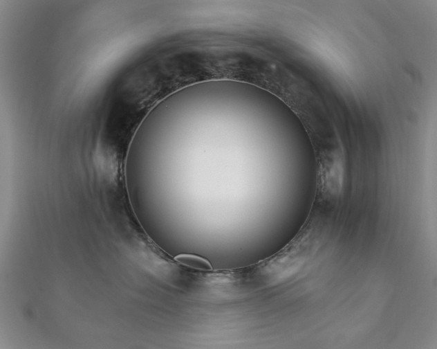 X0000111910574200908031140