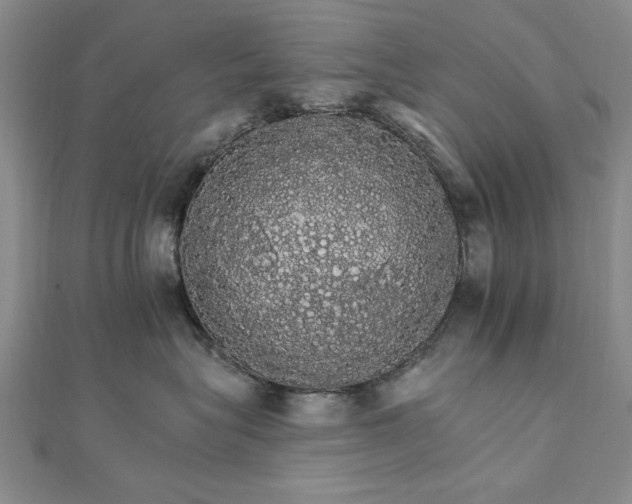 X0000111910575200908031140
