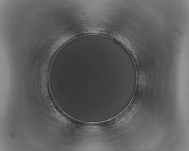 X0000111910577200908031139