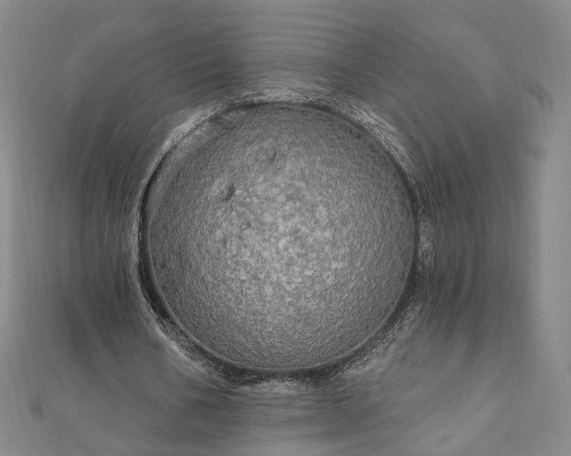 X0000111910578200908031139