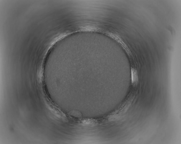 X0000111910579200908031139