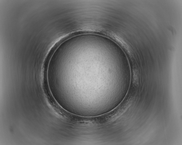 X0000111910580200908031139