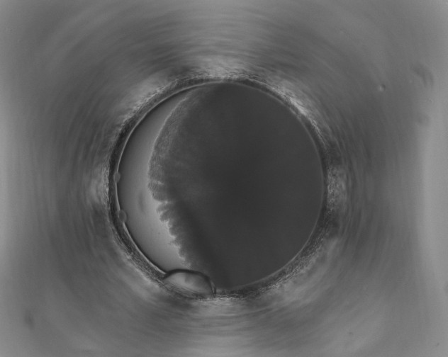 X0000111910581200908031139