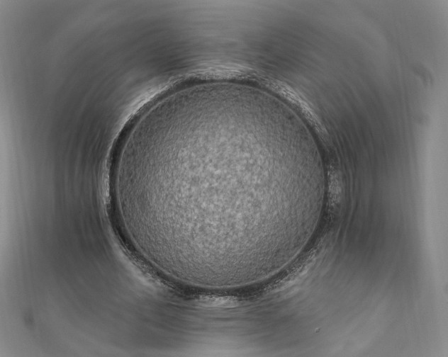 X0000111910582200908031139