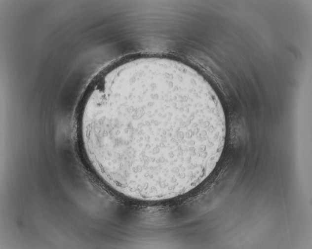 X0000111910584200908031139