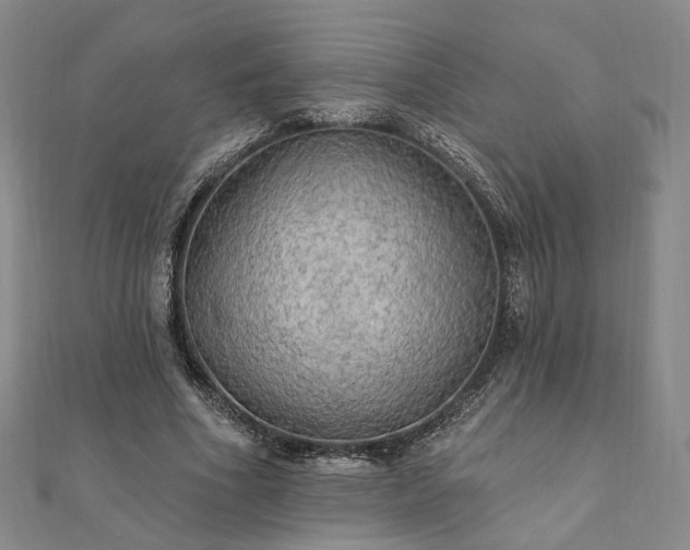 X0000111910586200908031139