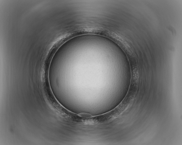 X0000111910587200908031139