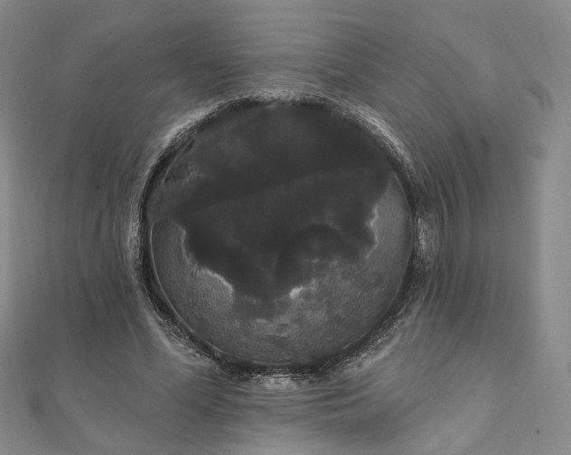 X0000111910588200908031139