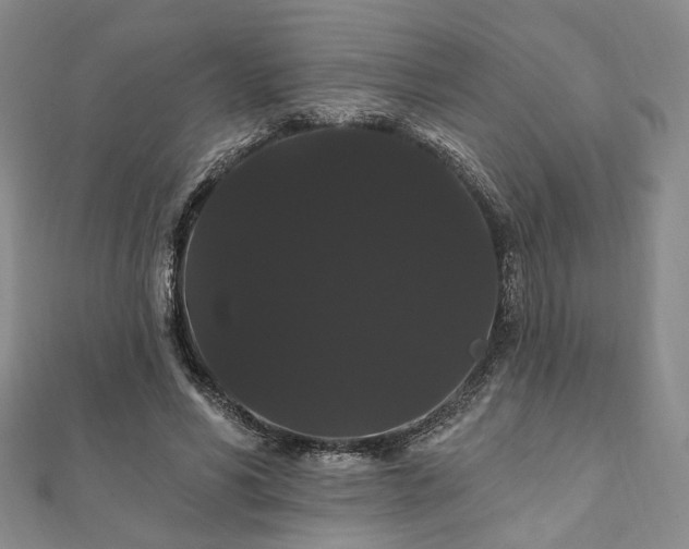 X0000111910590200908031139