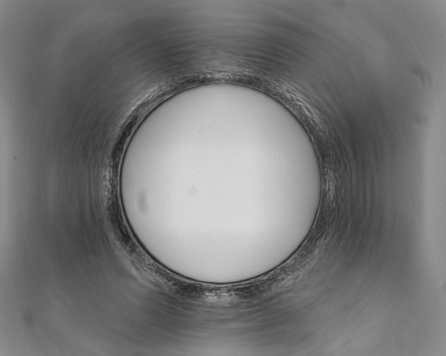 X0000111910591200908031139