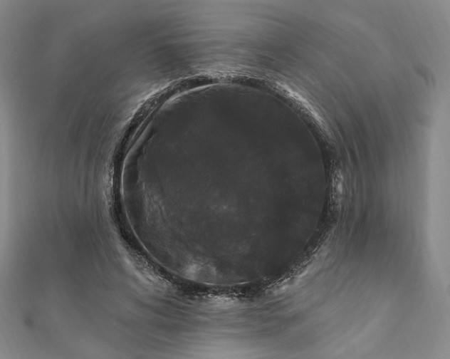 X0000111910592200908031139