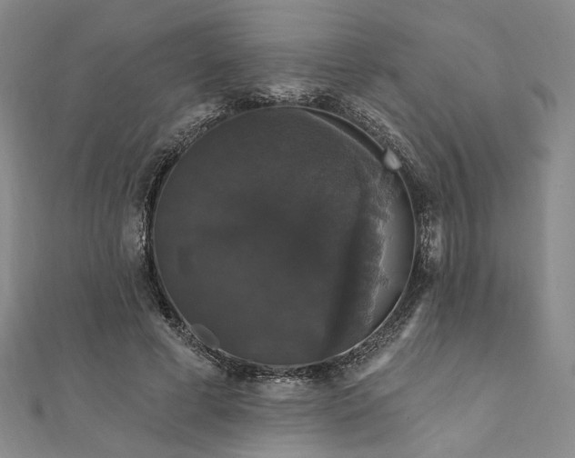 X0000111910593200908031139