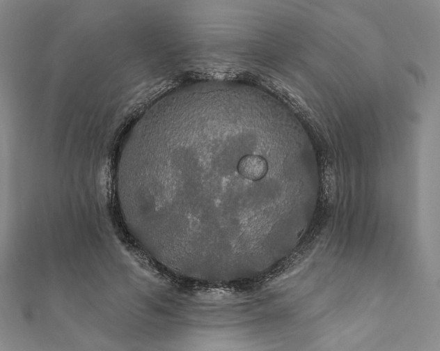 X0000111910594200908031139