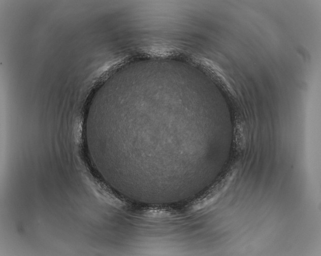 X0000111910596200908031139