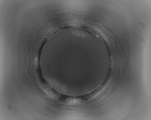 X0000111910597200908031139