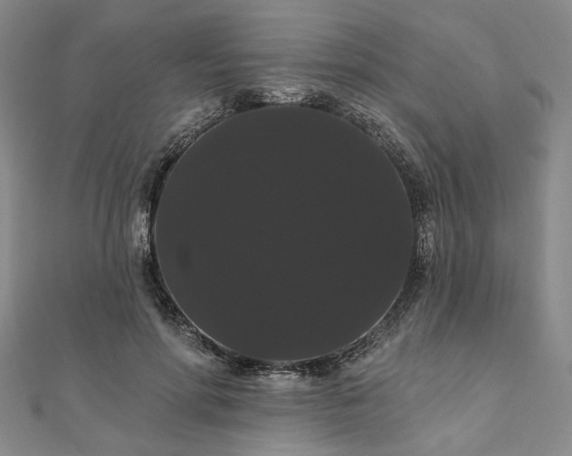 X0000111910598200908031139