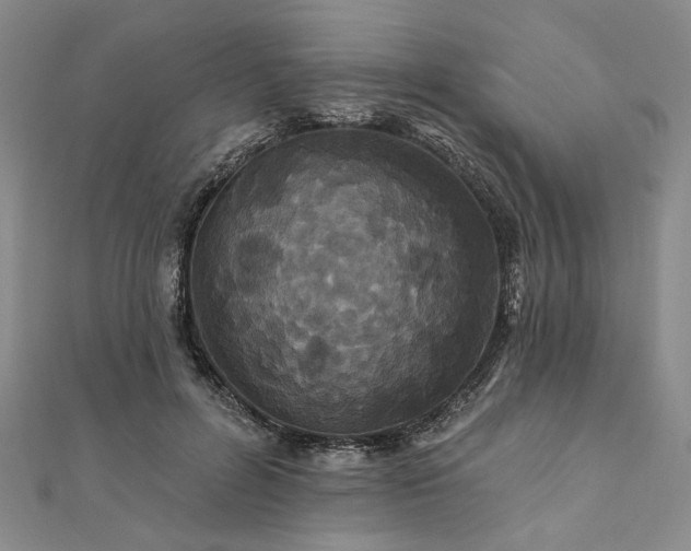 X0000111910600200908031139