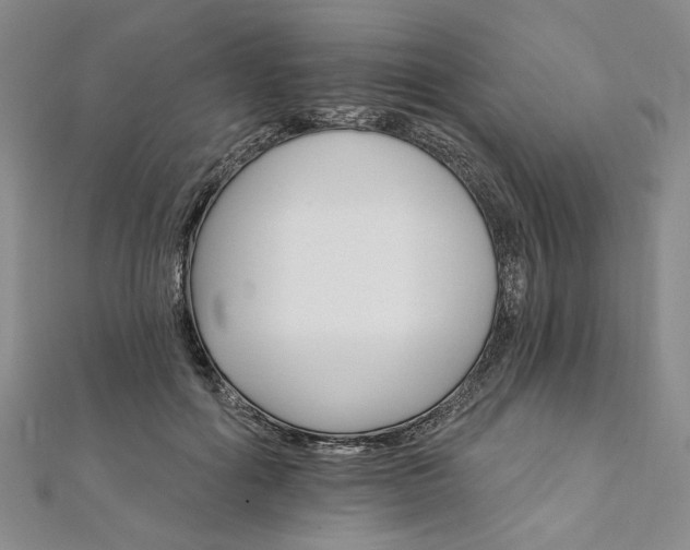 X0000111910602200908031139