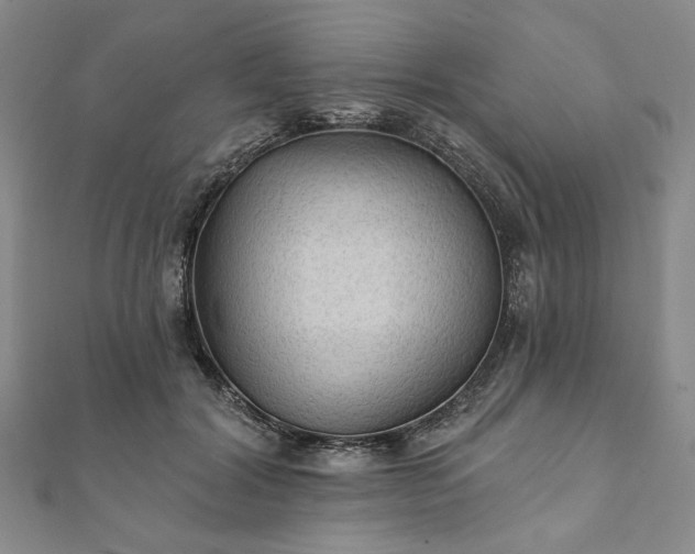 X0000111910604200908031139