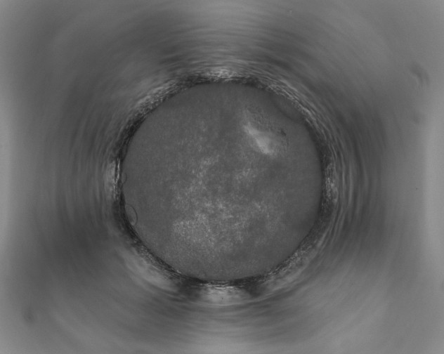 X0000111910605200908031139