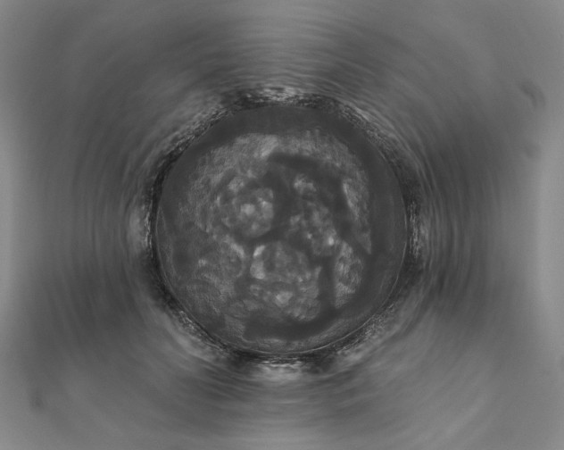 X0000111910606200908031139